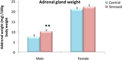 Effect of Cold Stress on Neurobehavioral and Physiological Parameters in Rats